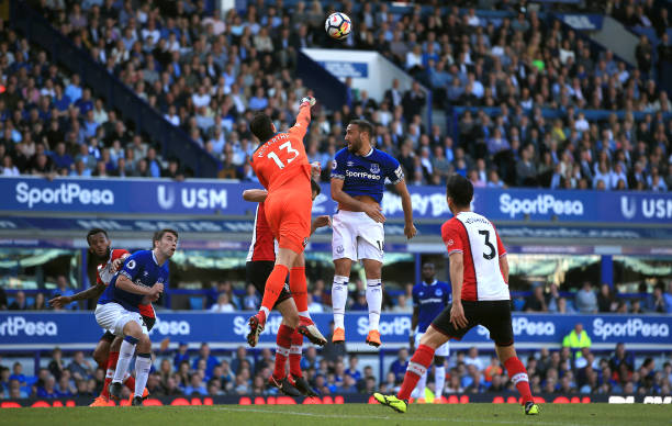 而今年的參 而今年的參